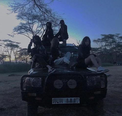 网红 暗黑路线,揭秘网络世界的阴影面