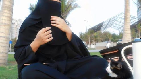 娱乐吃瓜君御姐免费阅读