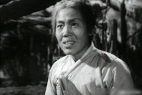 曲云演员,光影交织，演绎人生百态